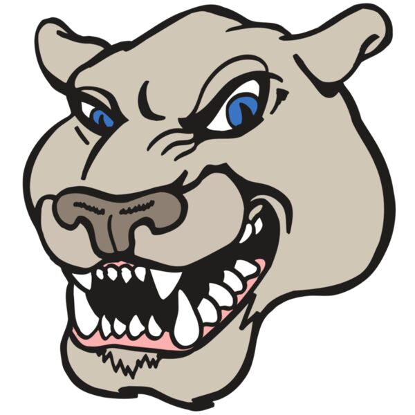 AR5 COUGAR 10 RQC Thumbnail